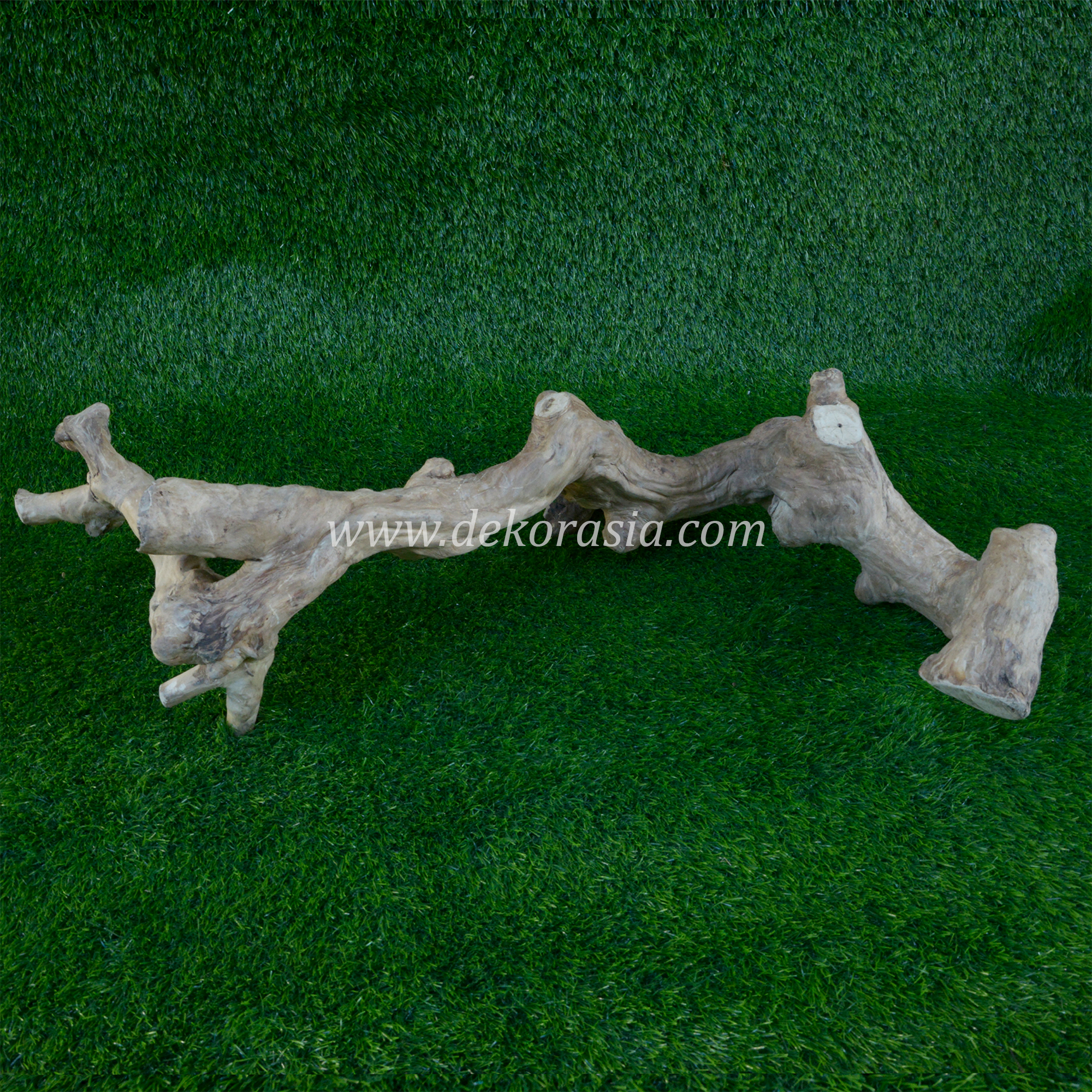 Coffee Root Wood (size L) for Jungle Gym Reptile, Vivariums Reptile, Aquarium, Aquascaping, Coffee Root Decor Craft